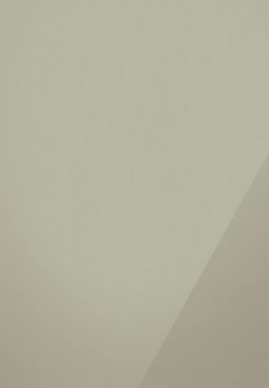 Acrylic Champagne kitchen door