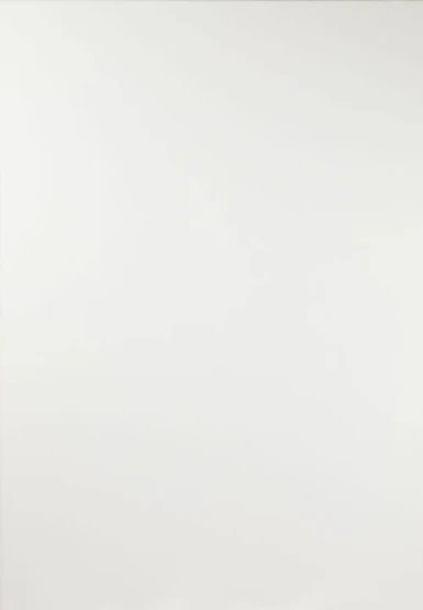 classic white kitchen door