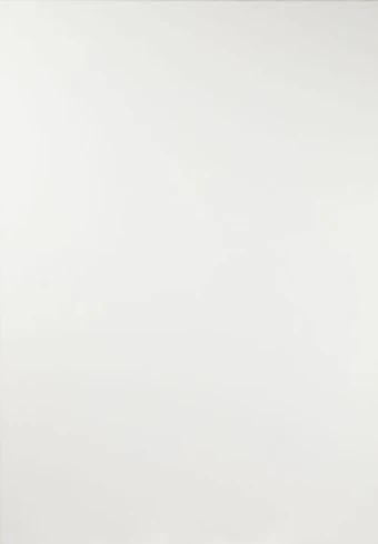 classic white kitchen door