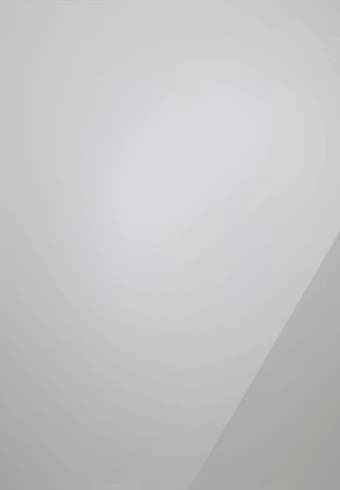 light grey kitchen door