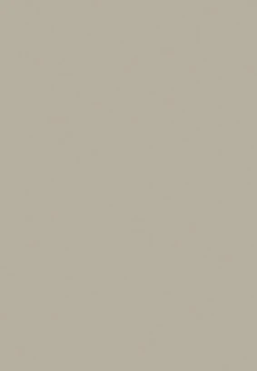 Pebble Grey door