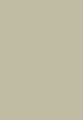 Sage Green door