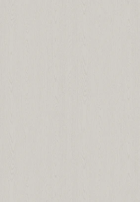 Light Grey Woodgrain door