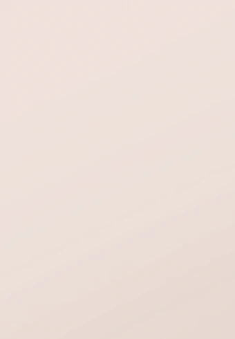 Windsor Rose White