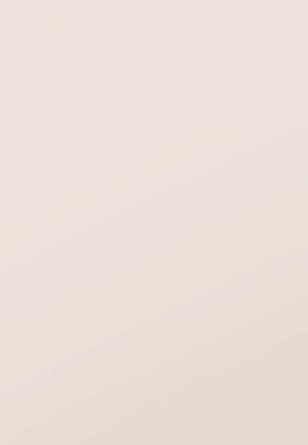 Windsor Rose White