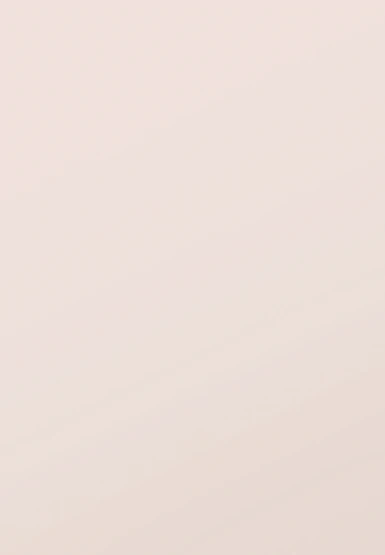 Windsor Rose White