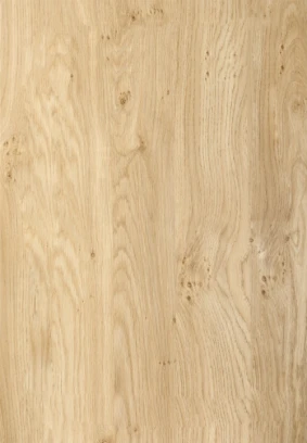 Windsor Natural Oak door