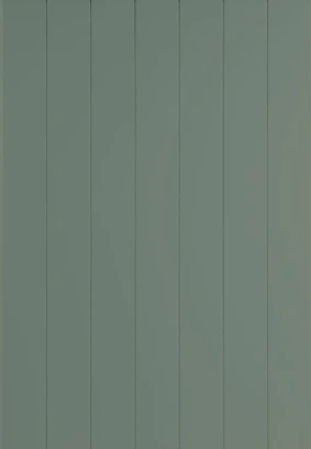 Windsor T&G Reed Green door